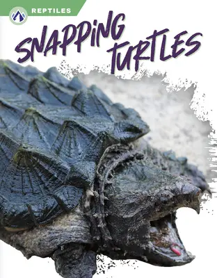 Broaște țestoase - Snapping Turtles