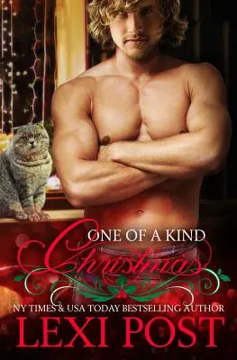 Un Crăciun unic - One of a Kind Christmas