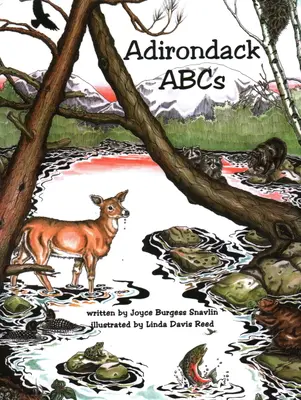 ABC-ul Adirondack - Adirondack ABCs