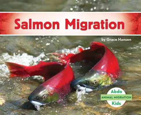 Migrația somonului - Salmon Migration