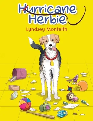 Uraganul Herbie - Hurricane Herbie