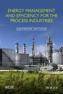Managementul și eficiența energetică pentru industriile de proces - Energy Management and Efficiency for the Process Industries