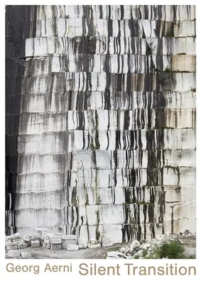 Georg Aerni--Silent Transition: Lucrări noi - Georg Aerni--Silent Transition: New Works