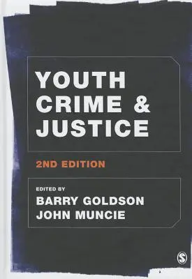 Criminalitatea juvenilă și justiția - Youth Crime and Justice
