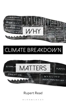 De ce este importantă degradarea climei - Why Climate Breakdown Matters