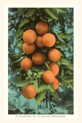 Jurnal de epocă Florida Oranges - Vintage Journal Florida Oranges