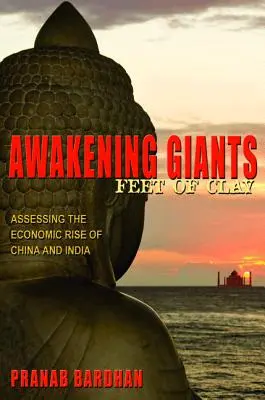 Trezirea giganților, picioare de lut: Evaluarea ascensiunii economice a Chinei și Indiei - Awakening Giants, Feet of Clay: Assessing the Economic Rise of China and India