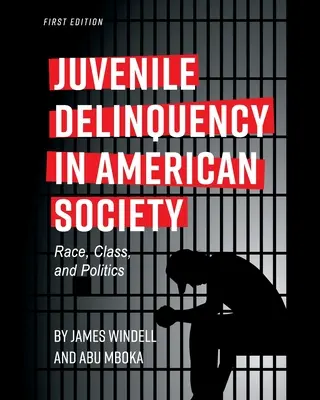 Delincvența juvenilă în societatea americană: Rasă, clasă și politică - Juvenile Delinquency in American Society: Race, Class, and Politics