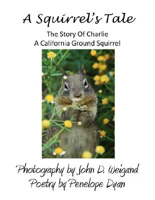Povestea unei veverițe, povestea lui Charlie, o veveriță de sol din California - A Squirrel's tale, The Story Of Charlie, A California Ground Squirrel