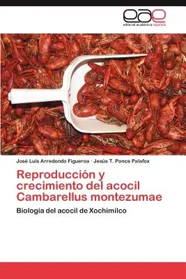 Reproducerea și creșterea acvilei Cambarellus Montezumae - Reproduccion y Crecimiento del Acocil Cambarellus Montezumae
