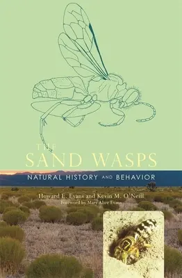 Sand Wasps: Istorie naturală și comportament - Sand Wasps: Natural History and Behavior