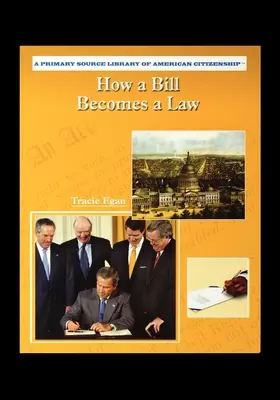 Cum devine un proiect de lege o lege - How A Bill Becomes A Law