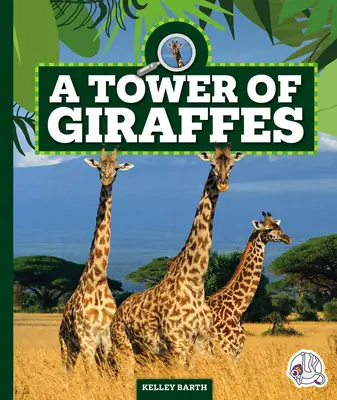 Un turn de girafe - A Tower of Giraffes