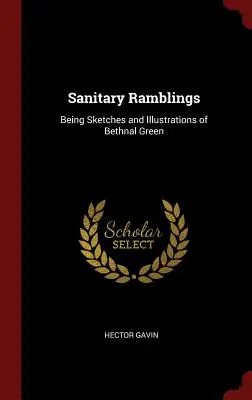 Sanitary Ramblings: Schițe și ilustrații din Bethnal Green - Sanitary Ramblings: Being Sketches and Illustrations of Bethnal Green