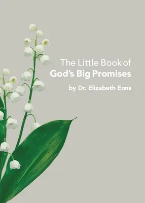 Mica carte a marilor promisiuni ale lui Dumnezeu - The Little Book of God's Big Promises