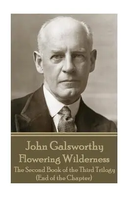 John Galsworthy - Sălbăticia înflorită: A doua carte din a treia trilogie (Sfârșitul capitolului) - John Galsworthy - Flowering Wilderness: The Second Book of the Third Trilogy (End of the Chapter)
