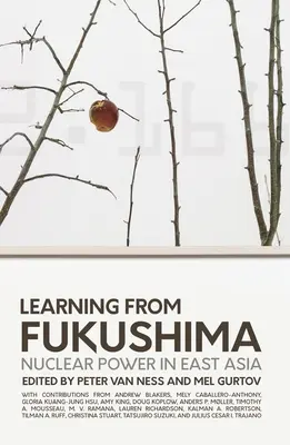 Învățând de la Fukushima: Energia nucleară în Asia de Est - Learning from Fukushima: Nuclear power in East Asia