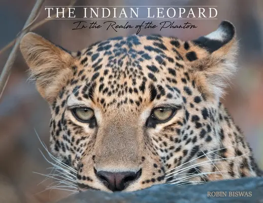 Leopardul indian: Pe tărâmul fantomei (The Indian Leopard: In the Realm of the Phantom) - The Indian Leopard: In the Realm of the Phantom
