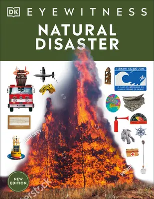 Dezastre naturale - Natural Disasters