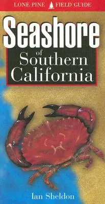Țărmul mării din sudul Californiei - Seashore of Southern California