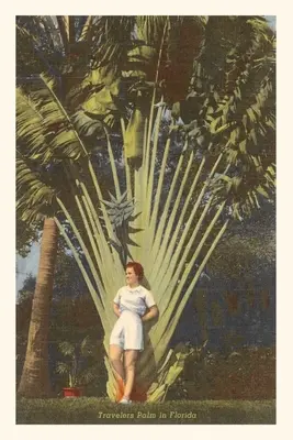 Jurnal de epocă Travelers Palm, Florida - Vintage Journal Travelers Palm, Florida