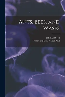 Furnici, albine și viespi - Ants, Bees, and Wasps