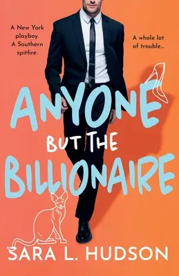 Oricine în afară de miliardar - Anyone But The Billionaire