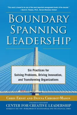 Boundary Spanning Leadership (Pb)