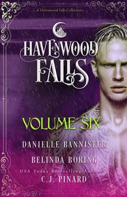 Havenwood Falls Volumul șase: O colecție Havenwood Falls - Havenwood Falls Volume Six: A Havenwood Falls Collection
