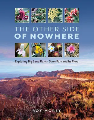 The Other Side of Nowhere: Explorarea parcului de stat Big Bend Ranch și a florei sale - The Other Side of Nowhere: Exploring Big Bend Ranch State Park and Its Flora