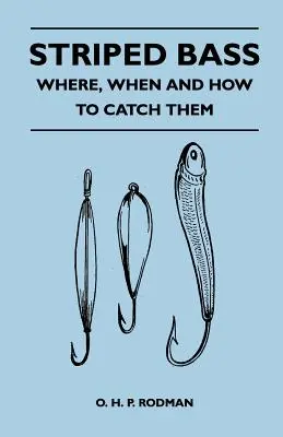 Bibanul dungat - Unde, când și cum să îl prinzi - Striped Bass - Where, When and How to Catch Them