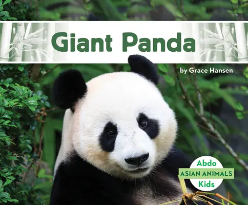 Panda gigant - Giant Panda