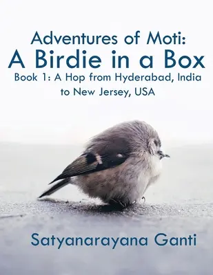 Aventurile lui Moti: A Birdie in a Box: Cartea 1: Un salt de la Hyderabad, India la New Jersey, SUA - Adventures of Moti: A Birdie in a Box: Book 1: A Hop from Hyderabad, India to New Jersey, USA