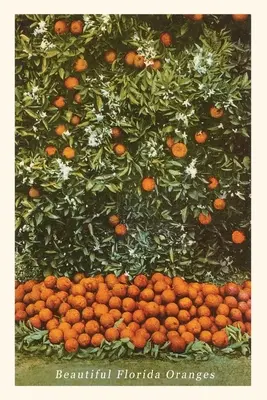 Jurnal de epocă Portocale, Florida - Vintage Journal Oranges, Florida