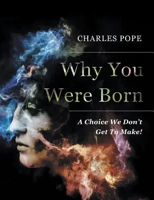 Why You Were Born: A Choice We Don't Get To Make!