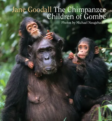 Copiii cimpanzei din Gombe - Chimpanzee Children of Gombe