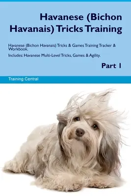Havanese (Bichon Havanais) Trucuri de dresaj Havanese Tricks & Games Tracker de dresaj și carte de lucru. Include: Trucuri, jocuri și agilitate Havanese pe mai multe niveluri - Havanese (Bichon Havanais) Tricks Training Havanese Tricks & Games Training Tracker & Workbook. Includes: Havanese Multi-Level Tricks, Games & Agility
