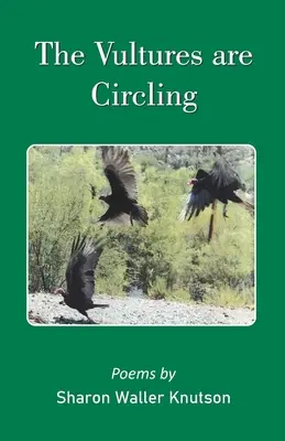 Vulturii se învârt în cerc - The Vultures are Circling