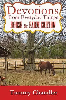 Devoțiuni din lucrurile de zi cu zi: Horse & Farm Edition - Devotions from Everyday Things: Horse & Farm Edition