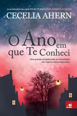 Ano em que te Conheci - O Ano em que te Conheci