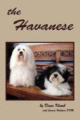 Havanezii - The Havanese