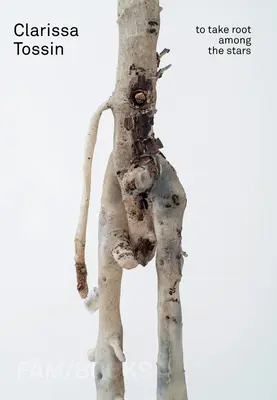 Clarissa Tossin: A prinde rădăcini printre stele - Clarissa Tossin: To Take Root Among the Stars