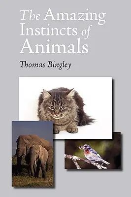 Instinctele uimitoare ale animalelor - The Amazing Instincts of Animals
