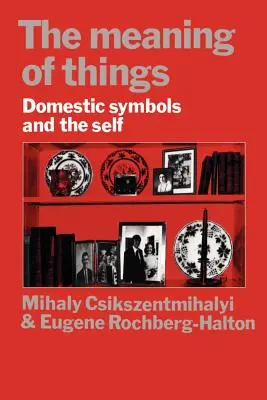 Semnificația lucrurilor: Simbolurile domestice și sinele - The Meaning of Things: Domestic Symbols and the Self