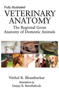 Anatomie veterinară: Anatomia brută regională a animalelor domestice: Complet ilustrată - Veterinary Anatomy: The Regional Gross Anatomy of the Domestic Animals: Fully Illustrated
