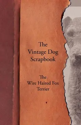 Scrapbook-ul câinelui de epocă - Fox Terrier cu păr de sârmă - The Vintage Dog Scrapbook - The Wire Haired Fox Terrier