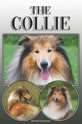 The Collie: Un ghid complet și cuprinzător al proprietarilor pentru: Cumpărarea, Deținerea, Sănătatea, Îngrijirea, Dresajul, Obediența, Înțelegerea și - The Collie: A Complete and Comprehensive Owners Guide To: Buying, Owning, Health, Grooming, Training, Obedience, Understanding and