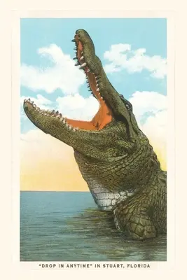 Jurnal de epocă Gaping Gator, Stuart, Florida - Vintage Journal Gaping Gator, Stuart, Florida
