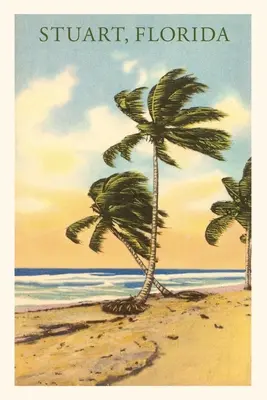 Jurnal de epocă Stuart Florida - Vintage Journal Stuart Florida
