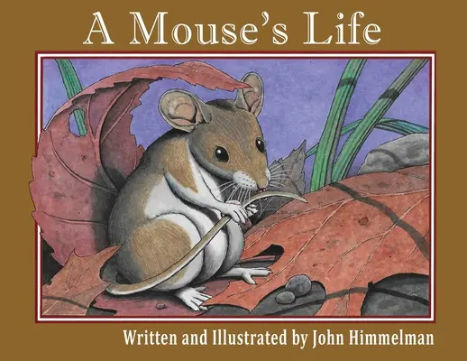 Viața unui șoarece - A Mouse's Life